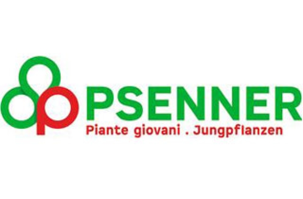 Psenner - Piante giovani